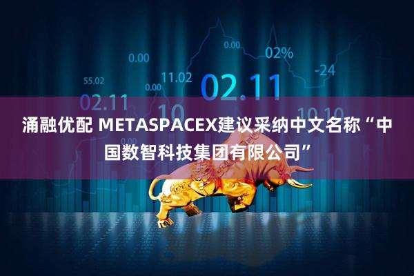 涌融优配 METASPACEX建议采纳中文名称“中国数智科技集团有限公司”
